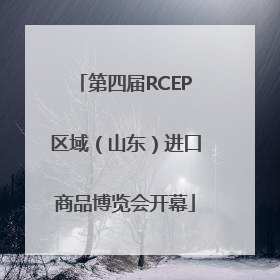 第四届RCEP区域（山东）进口商品博览会开幕