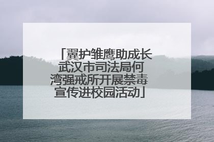 翼护雏鹰助成长 武汉市司法局何湾强戒所开展禁毒宣传进校园活动