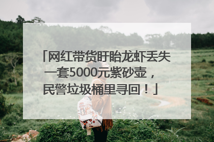 网红带货盱眙龙虾丢失一套5000元紫砂壶，民警垃圾桶里寻回！
