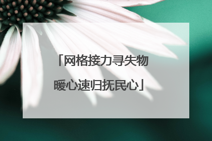 网格接力寻失物 暖心速归抚民心