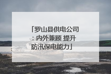 罗山县供电公司：内外兼顾 提升防汛保电能力