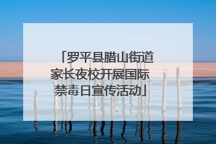 罗平县腊山街道家长夜校开展国际禁毒日宣传活动