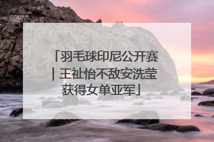 羽毛球印尼公开赛｜王祉怡不敌安洗莹 获得女单亚军