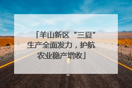羊山新区“三夏”生产全面发力，护航农业稳产增收