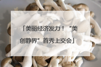 美丽经济发力！“美创静界”首秀上交会