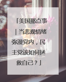 美国那点事｜当悲观情绪弥漫党内，民主党该如何拯救自己？