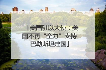 美国驻以大使：美国不再“全力”支持巴勒斯坦建国
