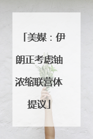 美媒：伊朗正考虑铀浓缩联营体提议
