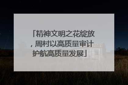 精神文明之花绽放，周村以高质量审计护航高质量发展