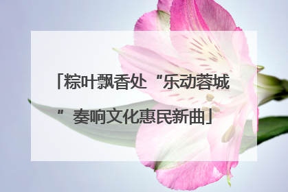 粽叶飘香处“乐动蓉城”奏响文化惠民新曲