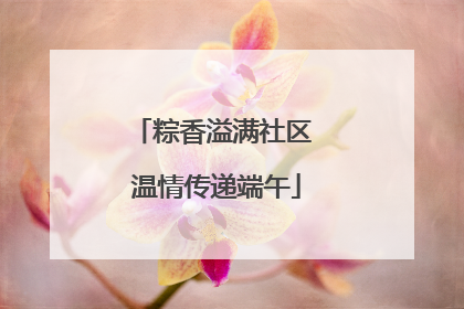 粽香溢满社区 温情传递端午