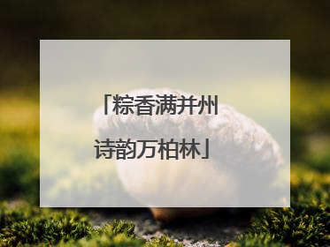 粽香满并州 诗韵万柏林