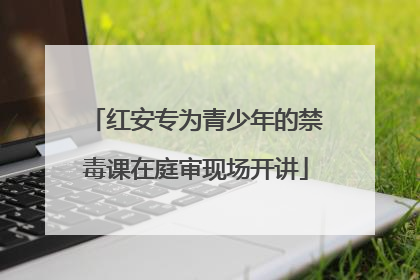 红安专为青少年的禁毒课在庭审现场开讲