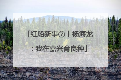 红船新事⑦丨杨海龙：我在嘉兴育良种