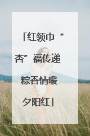 红领巾“杏”福传递 粽香情暖夕阳红