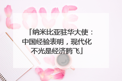 纳米比亚驻华大使：中国经验表明，现代化不光是经济腾飞