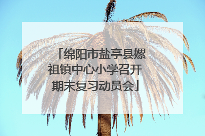 绵阳市盐亭县嫘祖镇中心小学召开期末复习动员会