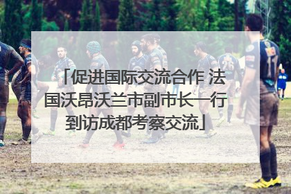 促进国际交流合作 法国沃昂沃兰市副市长一行到访成都考察交流
