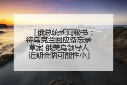 俄总统新闻秘书：待乌克兰回应备忘录草案 俄美乌领导人近期会晤可能性小