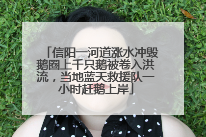 信阳一河道涨水冲毁鹅圈上千只鹅被卷入洪流，当地蓝天救援队一小时赶鹅上岸