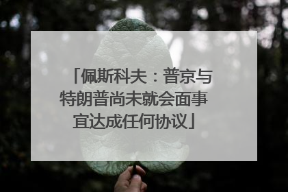 佩斯科夫：普京与特朗普尚未就会面事宜达成任何协议
