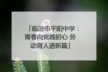 临汾市平阳中学：青春向党践初心 劳动育人谱新篇