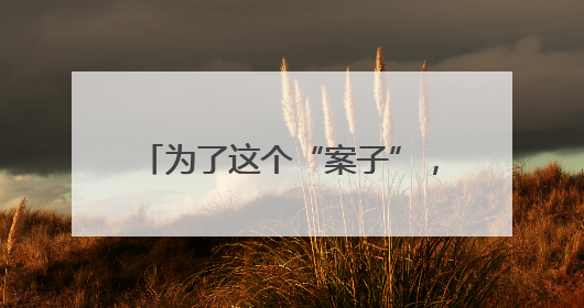 为了这个“案子”，控辩双方激烈辩论