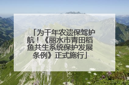 为千年农遗保驾护航！《丽水市青田稻鱼共生系统保护发展条例》正式施行