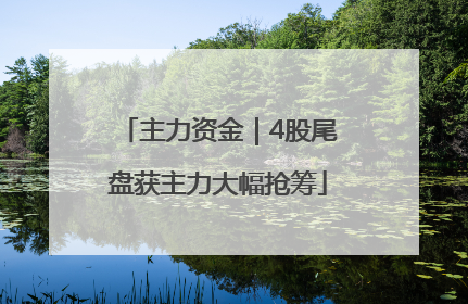 主力资金｜4股尾盘获主力大幅抢筹