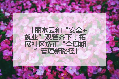 丽水云和“安全+就业”双管齐下，拓展社区矫正“全周期”管理新路径