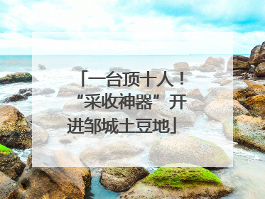 一台顶十人！“采收神器”开进邹城土豆地