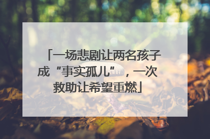 一场悲剧让两名孩子成“事实孤儿”，一次救助让希望重燃