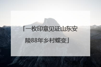 一枚印章见证山东安陵88年乡村蝶变