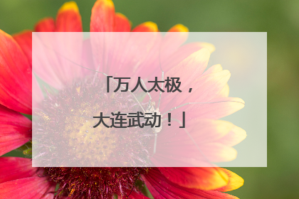 万人太极，大连武动！