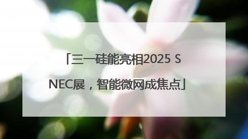 三一硅能亮相2025 SNEC展，智能微网成焦点