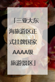 三亚大东海旅游区正式挂牌国家AAAA级旅游景区