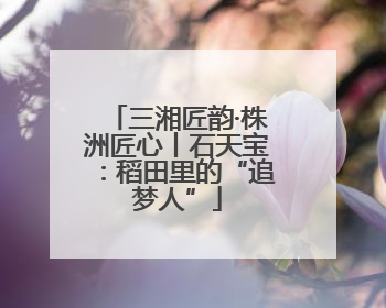 三湘匠韵·株洲匠心丨石天宝：稻田里的“追梦人”