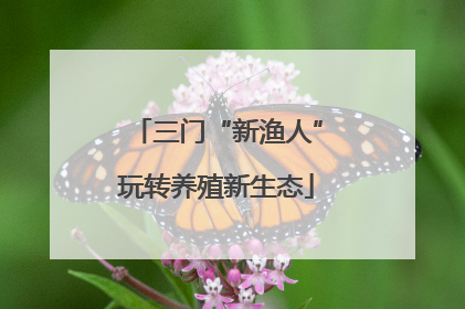 三门“新渔人”玩转养殖新生态