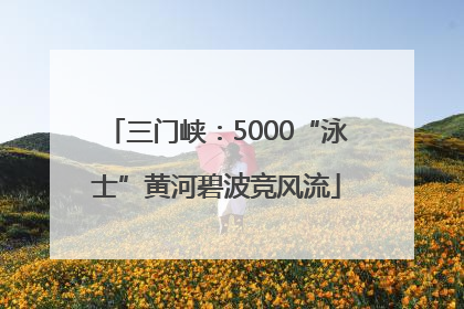 三门峡：5000“泳士”黄河碧波竞风流