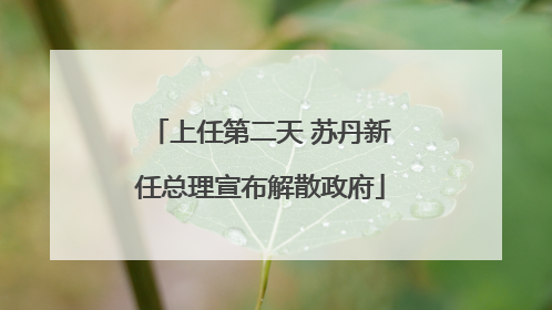 上任第二天 苏丹新任总理宣布解散政府