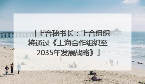 上合秘书长：上合组织将通过《上海合作组织至2035年发展战略》