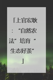 上官宏耿：“自然农法”培育“生态好茶”