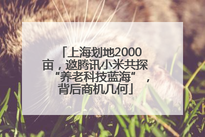 上海划地2000亩，邀腾讯小米共探“养老科技蓝海”，背后商机几何