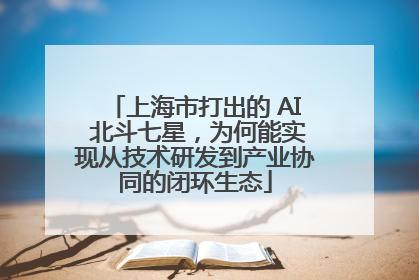 上海市打出的 AI 北斗七星，为何能实现从技术研发到产业协同的闭环生态
