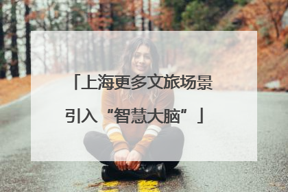 上海更多文旅场景引入“智慧大脑”
