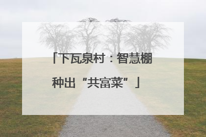 下瓦泉村：智慧棚种出“共富菜”