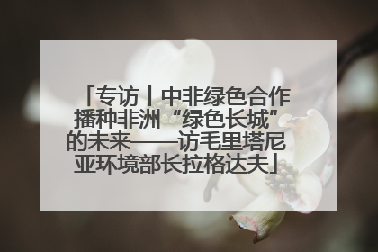 专访丨中非绿色合作播种非洲“绿色长城”的未来——访毛里塔尼亚环境部长拉格达夫