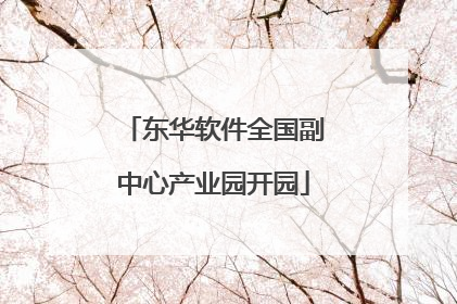 东华软件全国副中心产业园开园