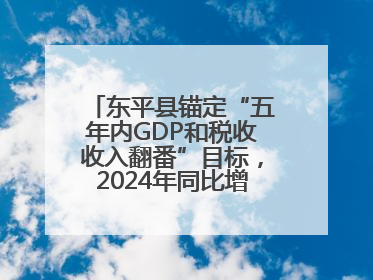 东平县锚定“五年内GDP和税收收入翻番”目标，2024年同比增长5.8%