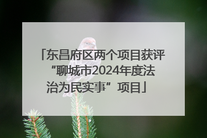 东昌府区两个项目获评“聊城市2024年度法治为民实事”项目